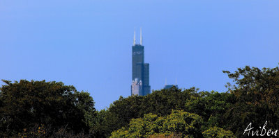 Sears Tower from Hyde Park.jpg