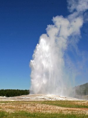 Old Faithful