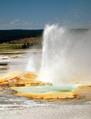 Spasm Geyser