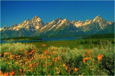 Grand Tetons and Jackson Lake HDR