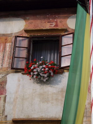 Window on Town Square