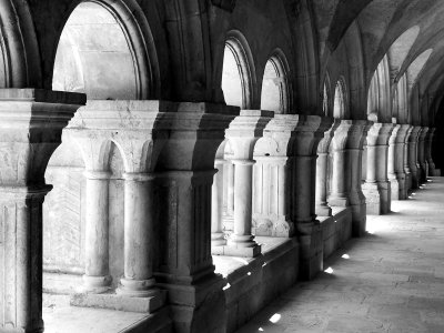 L'Abbaye de Fontenay