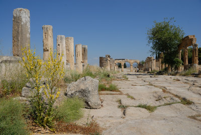 Acropoli