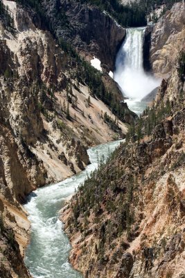 Grand Canyon of the Yellowstone