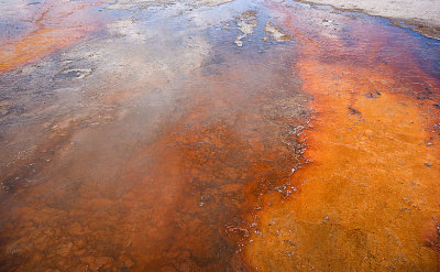 West Thumb Geyser Basin 10