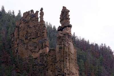 _MG_0798.jpg