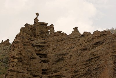 _MG_0799.jpg