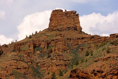 _MG_0805.jpg