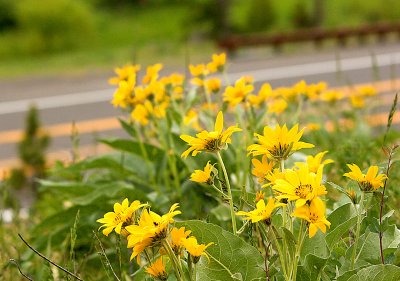 _MG_0811.jpg