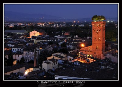 Torre Guinigi - Lucca