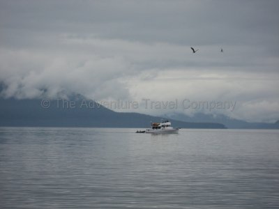 IMG_3341.jpg