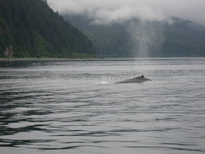 IMG_3376.jpg