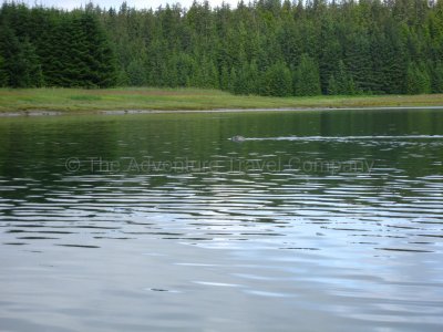 IMG_3831.jpg