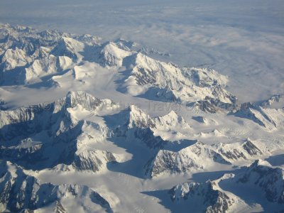 IMG_3950.jpg
