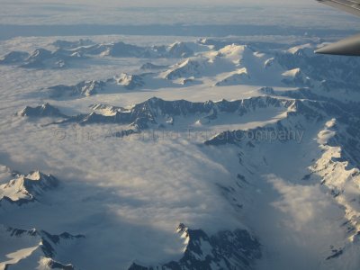 IMG_3987.jpg