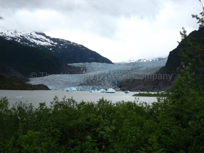 IMG_2524.jpg