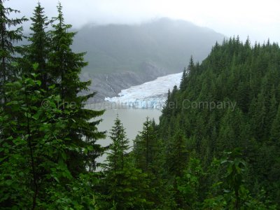 IMG_2560.jpg