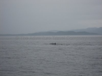 IMG_2786.jpg