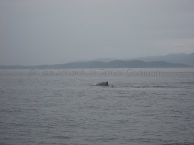 IMG_2787.jpg