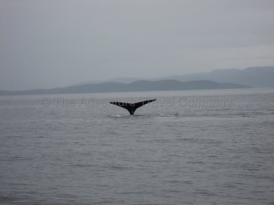 IMG_2792.jpg
