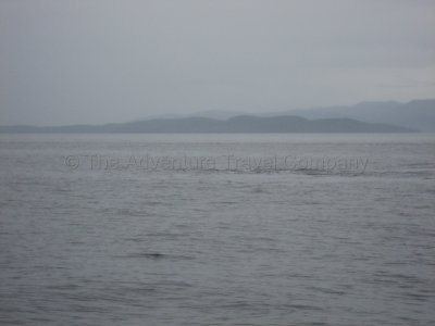 IMG_2794.jpg