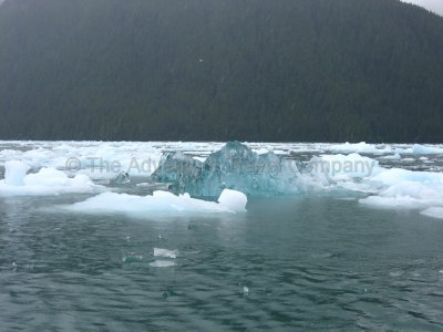 IMG_2812.jpg