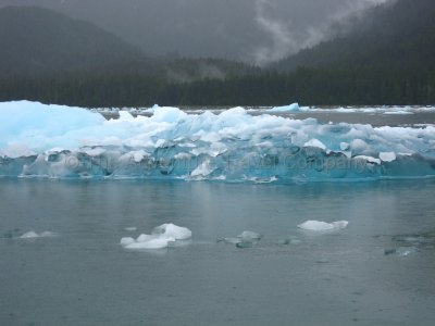 IMG_2819.jpg