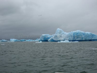 IMG_2833.jpg