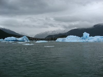IMG_2852.jpg