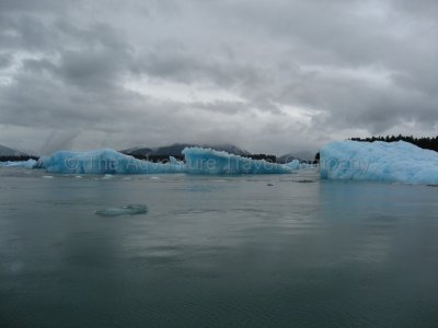 IMG_2870.jpg