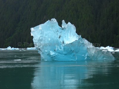 IMG_2896.jpg