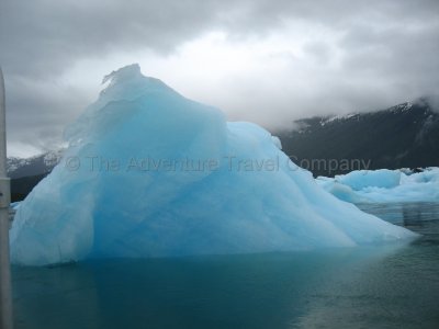 IMG_2908.jpg