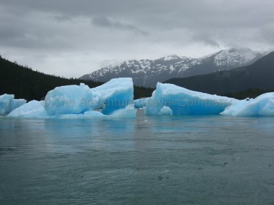IMG_2914.jpg