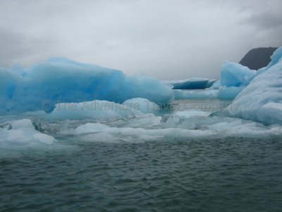 IMG_2920.jpg