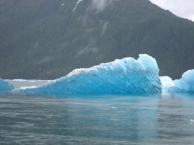 IMG_2934.jpg