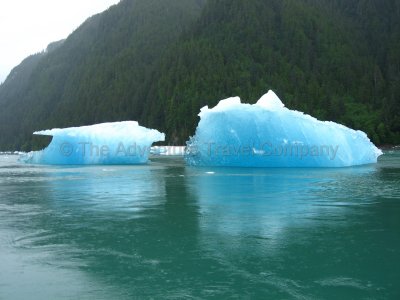 IMG_2939.jpg