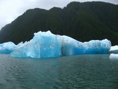 IMG_2951.jpg