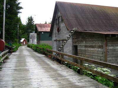 IMG_3061.jpg
