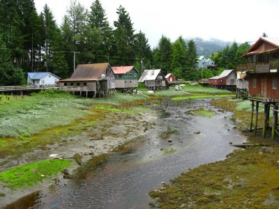 IMG_3065.jpg