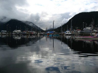 IMG_3115.jpg