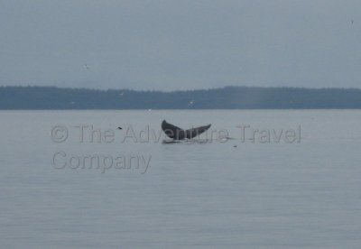 IMG_3339.jpg