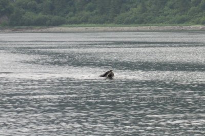 IMG_3437.jpg