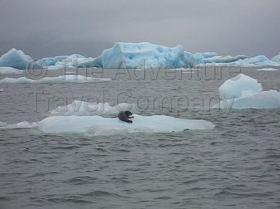 IMG_2839_1.jpg