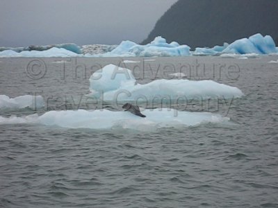 IMG_2839_3.jpg