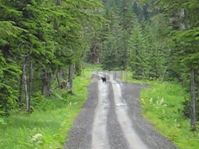 IMG_3029_1.jpg