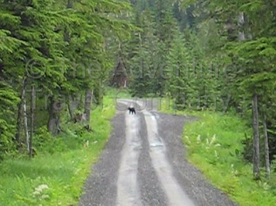 IMG_3029_2.jpg