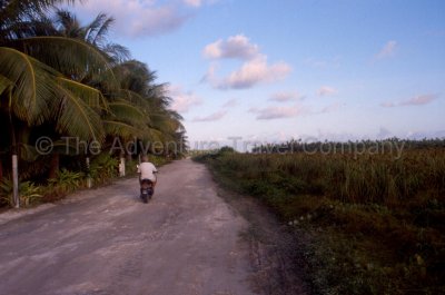 FP_397.jpg
