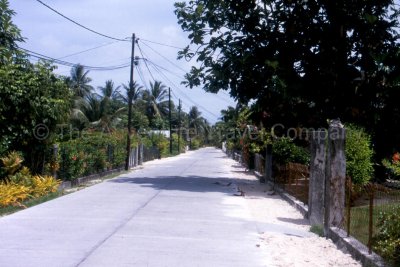 FP_410.jpg