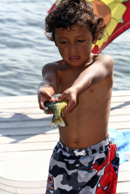 I'm gonna set you free fish