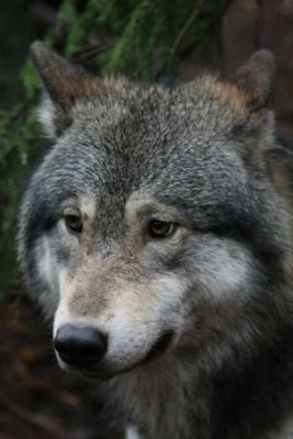 CS_0086.JPG